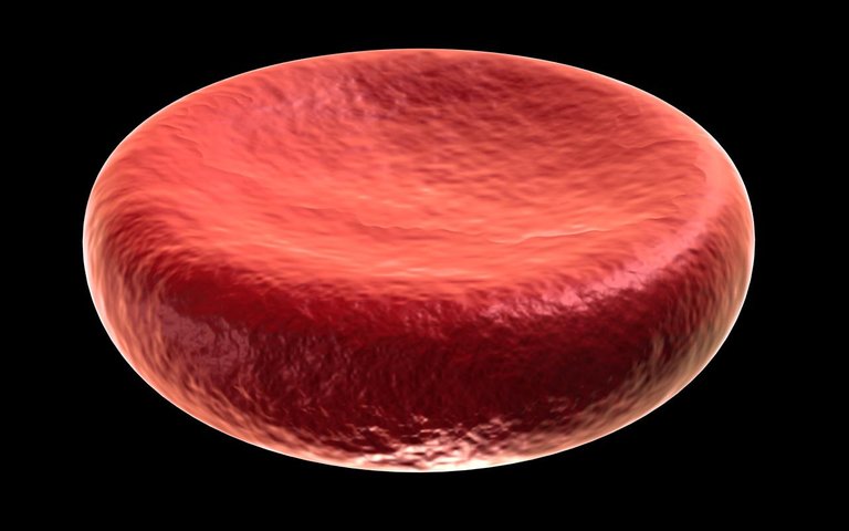 https://commons.wikimedia.org/wiki/File:Erythrocyte_deoxy