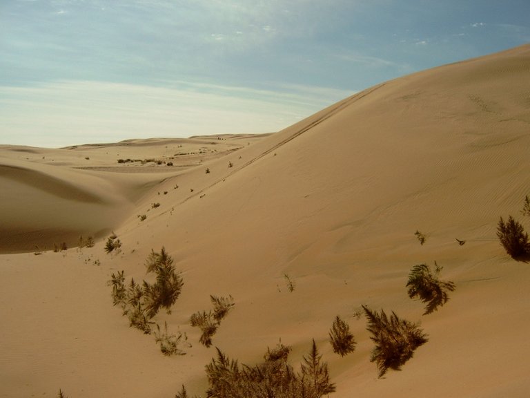 gobi desert