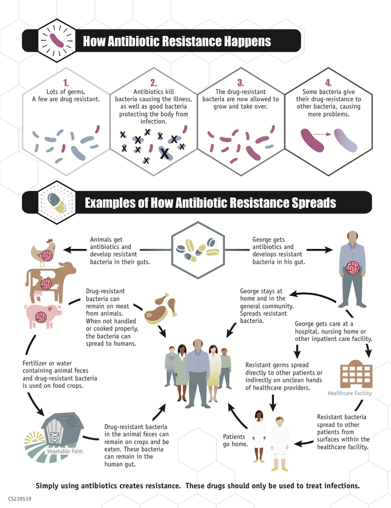 CDCinfographicANTIBIORESISTANCE.png