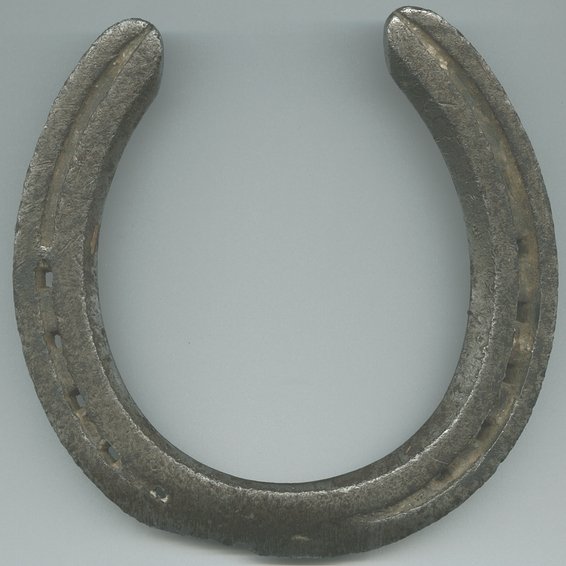 5 Minutes Free Writing - Horse Shoe
