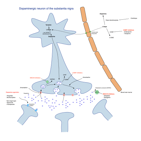 Pharmacological treatment of Parkinson's disease