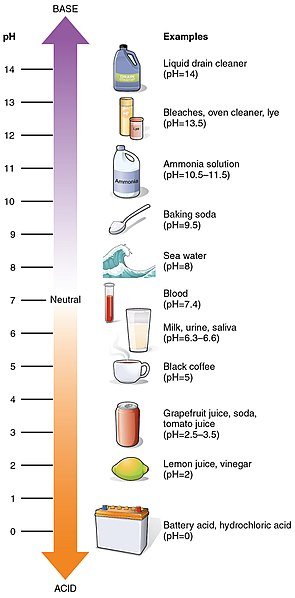 pH values of some common substances