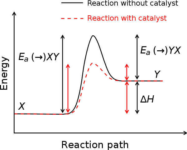 The relationship between activation energy () and enthalpy of formation (ΔH) with and without a catalyst, plotted against the reaction coordinate.