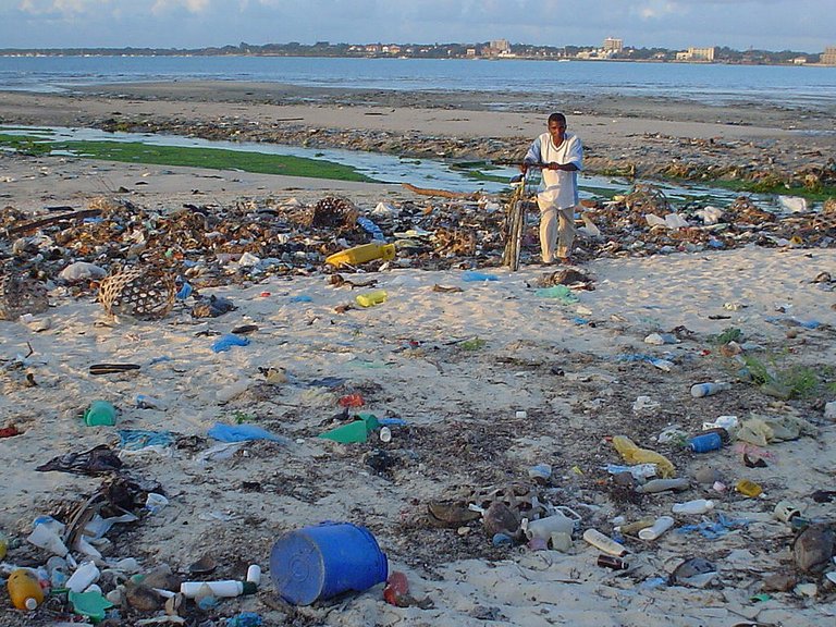 Beach at Msasani Bay, Dar es Salaam, Tanzania