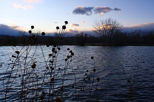 Lake at Dusk in November