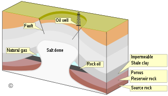 Salt dome trap