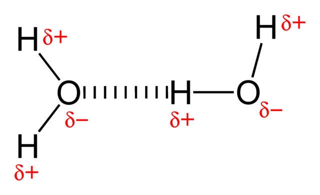 Hydrogen-bonding-in-water-2D