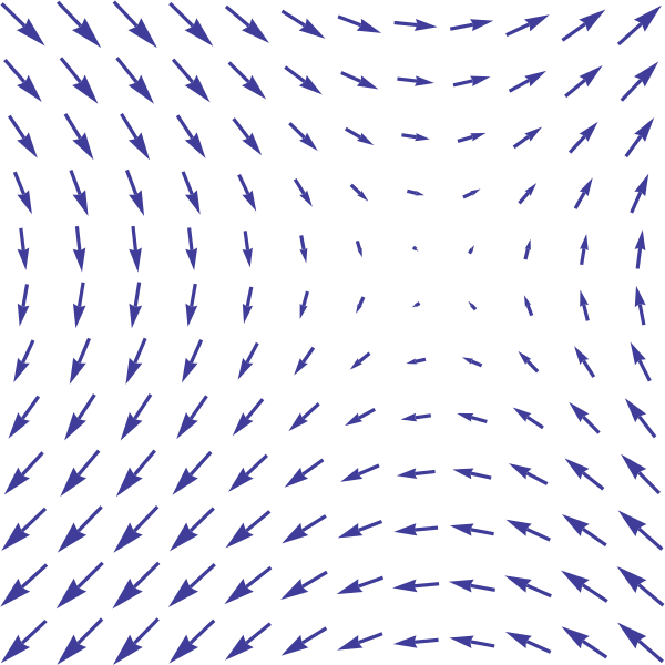 vector field