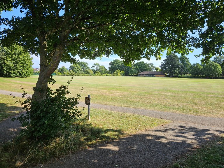 Relaxing walk  : My Actifit Report Card: August 14 2025
