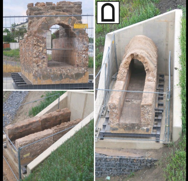 My Actifit Report Card: December 19 2025