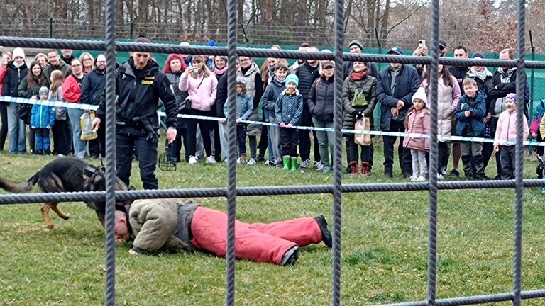 My Actifit Report Card: April 13 2026