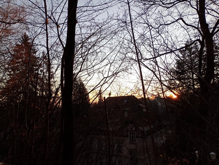 My Actifit Report Card: January 18 2026