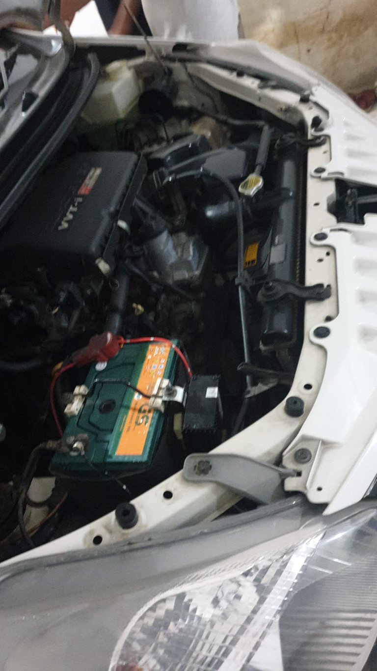 My Actifit Report Card: February 17 2026