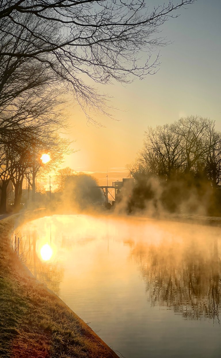 Chasing Light: Two Walks, One Frosty Wonderland