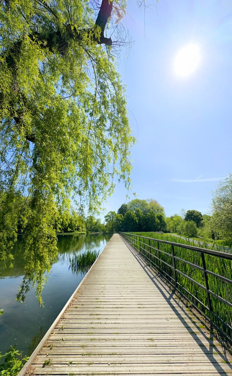 The Office Escape: A 6K Intermission at Vrijbroekpark