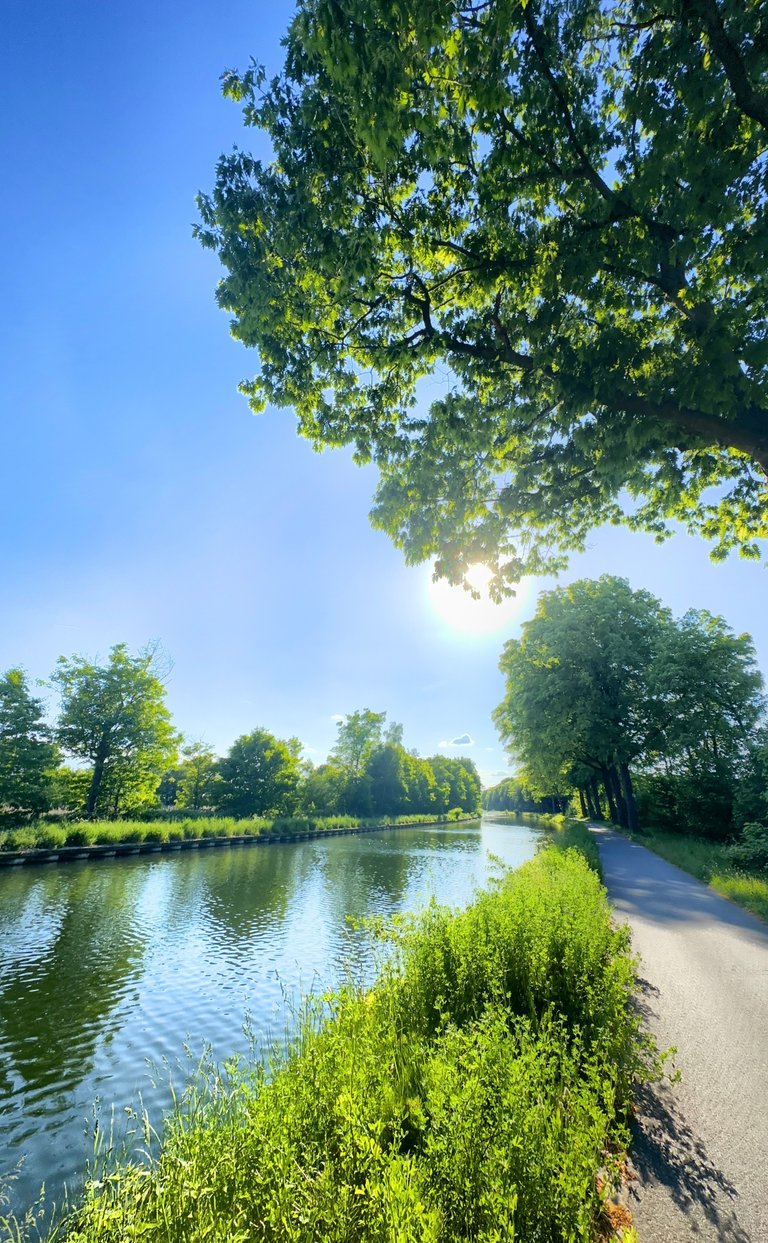 Today’s forecast: sunshine, mild cardio, and a small needle.