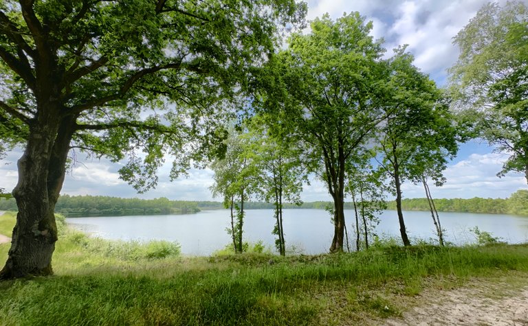 The 11km Reset: Forests, Fields, and Fewer Notifications