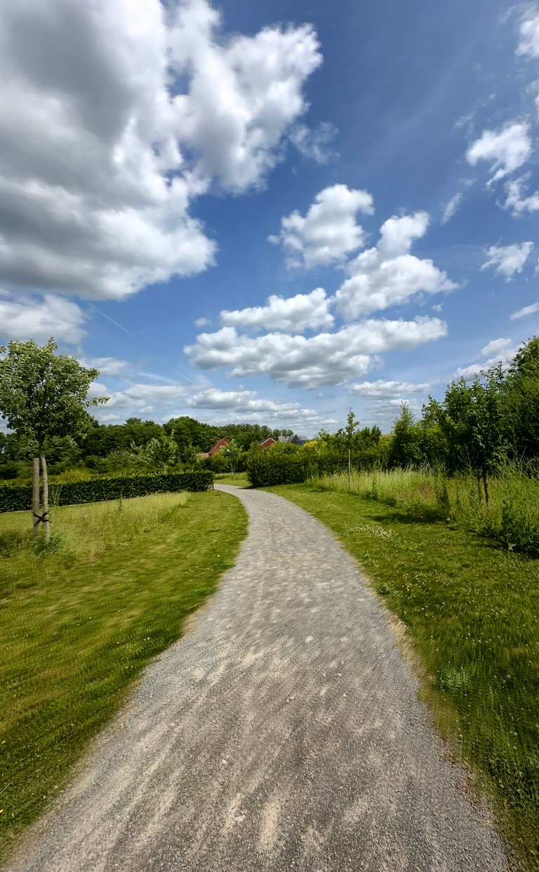 Snack or Stroll? I Picked Sanity.