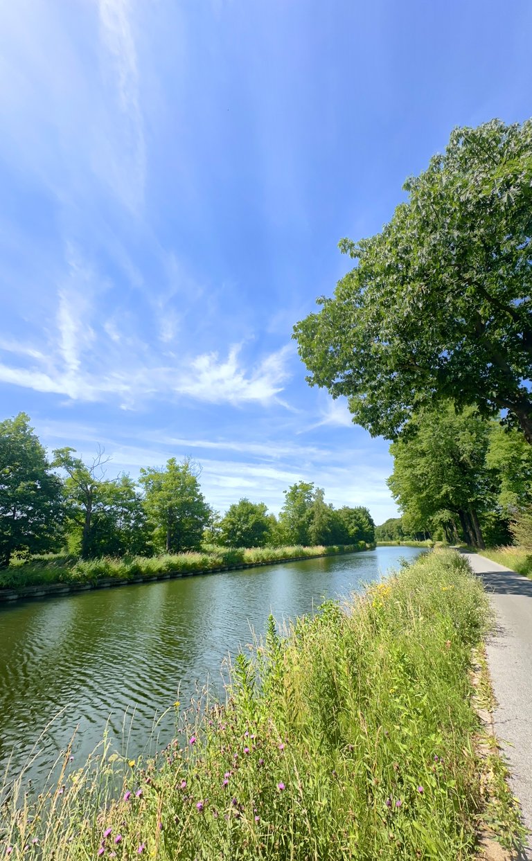 Canal Calm & Poppy Power