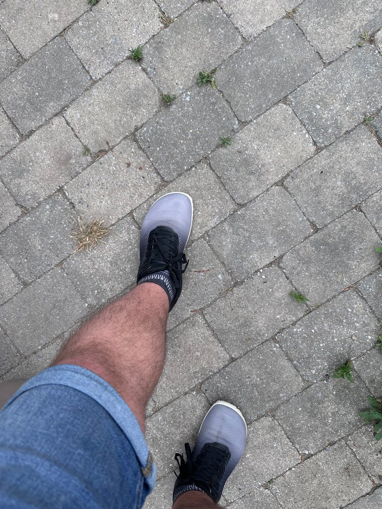 Errands, Old Friends & 6k Steps