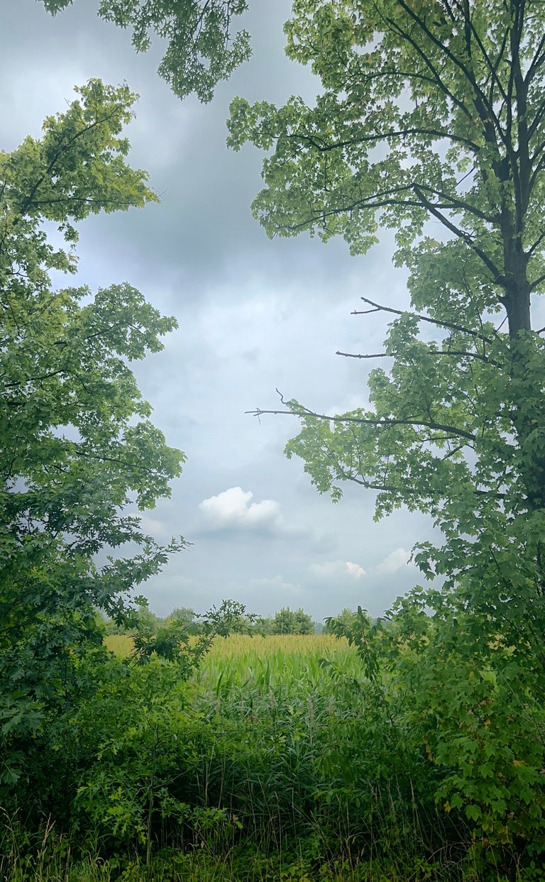 Two Walks, 16k Steps, and a Full Heart