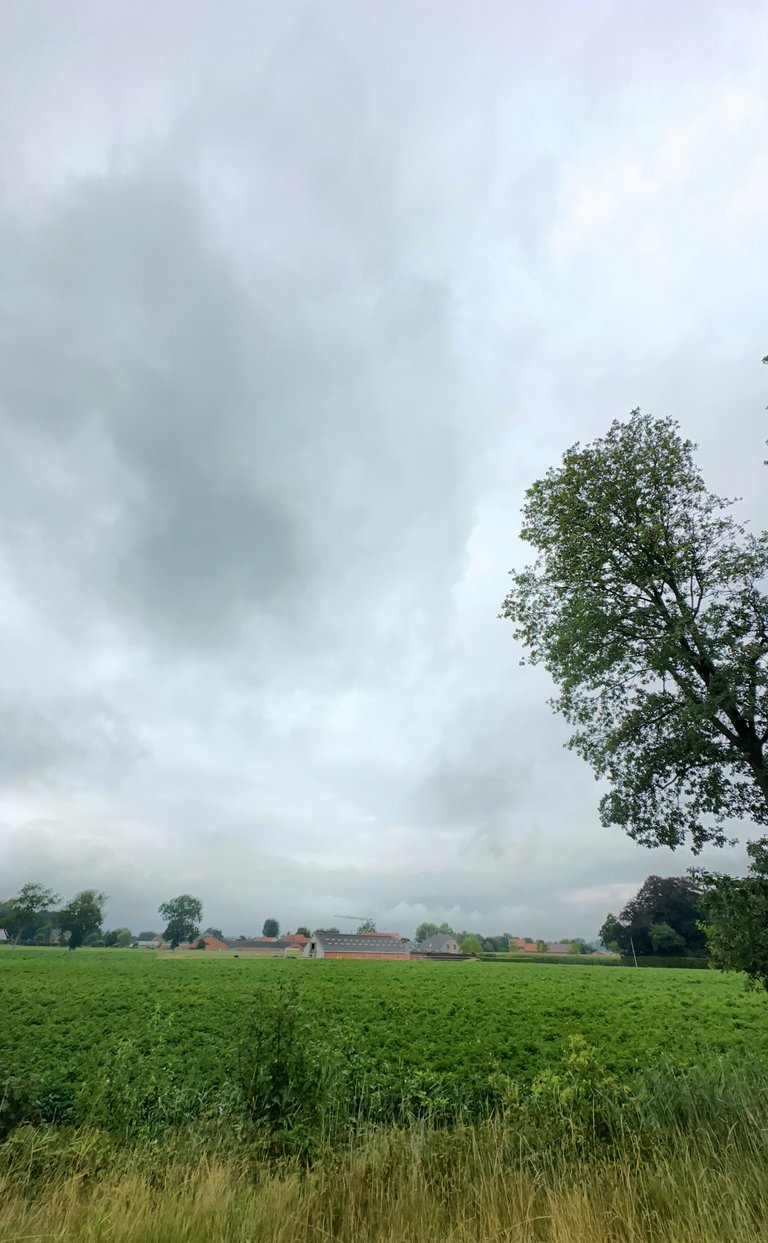 Dodging Raindrops, Chasing Steps