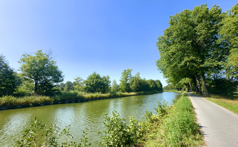 Sun, Steps & a Coffee Crisis ☀️🚶‍♂️☕