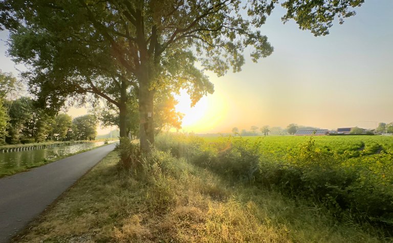 Nature’s Reward for Showing Up