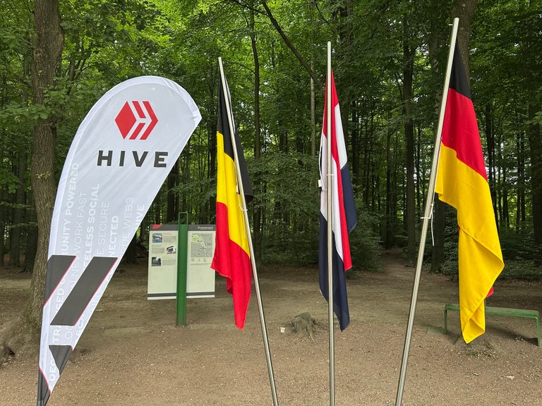 Walking into Hive Energy