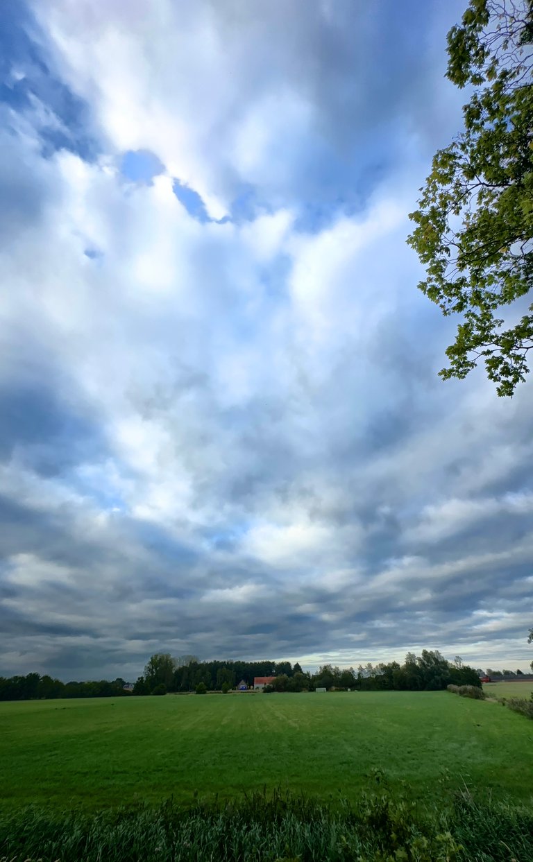 Under Heavy Skies