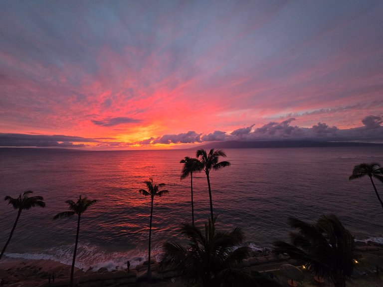 My Actifit Report Card: April 9 2026