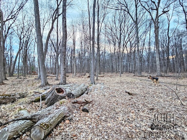 My Actifit Report Card: March 25 2026