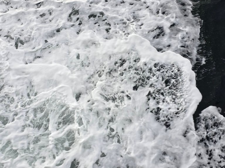 My Actifit Report Card: January 30 2026