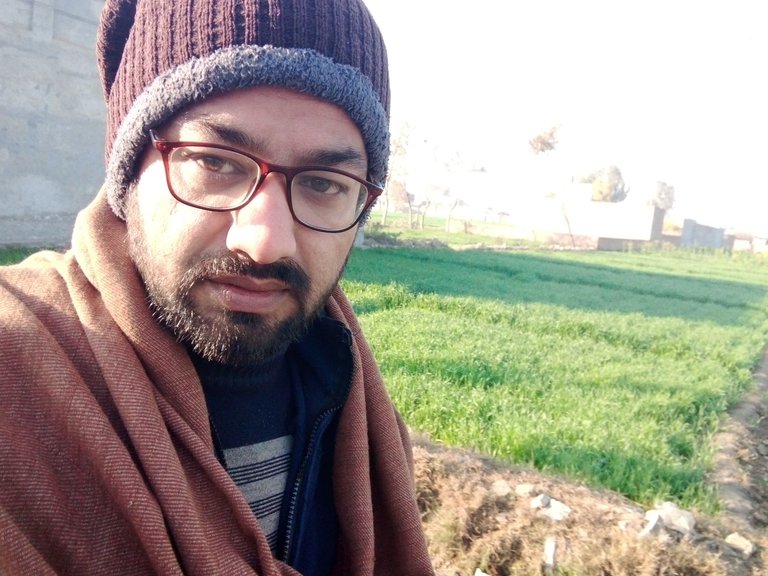 My Actifit Report Card: January 29 2026