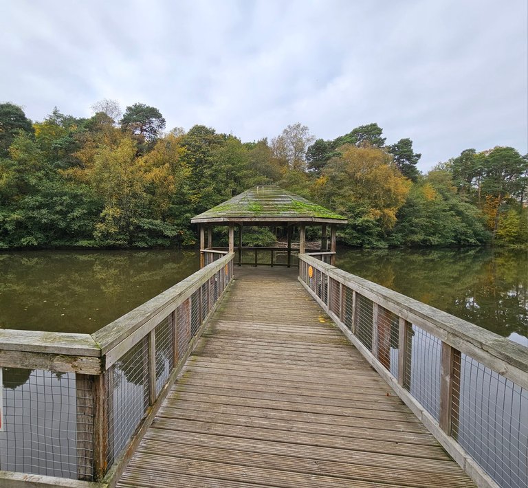 Tilgate Nature Centre in autumn  : My Actifit Report Card: October 30 2026