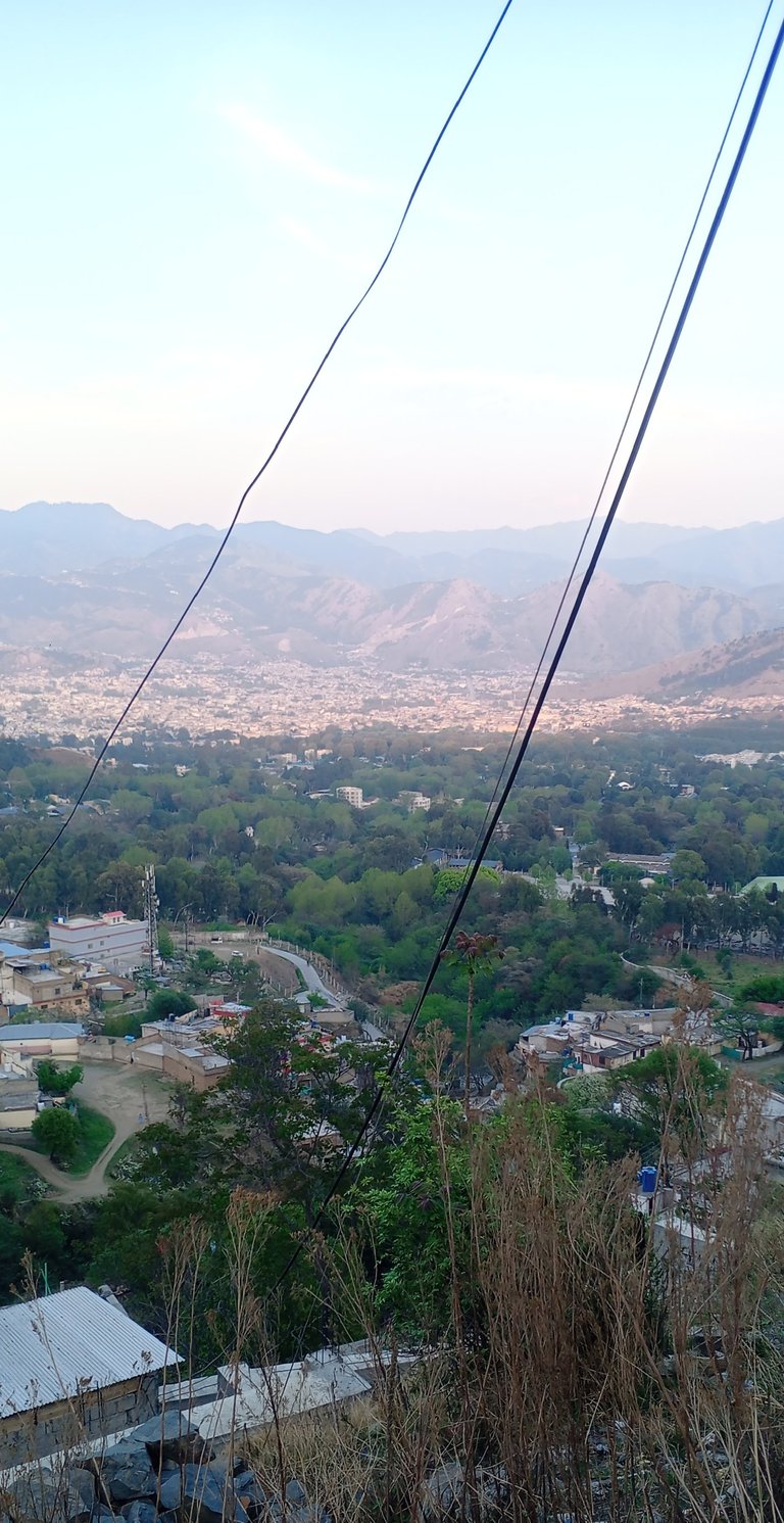 My Actifit Report Card: April 2 2026