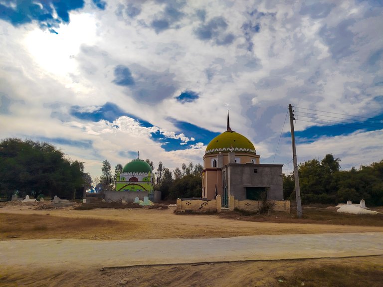 My Actifit Report Card: December 31 2025