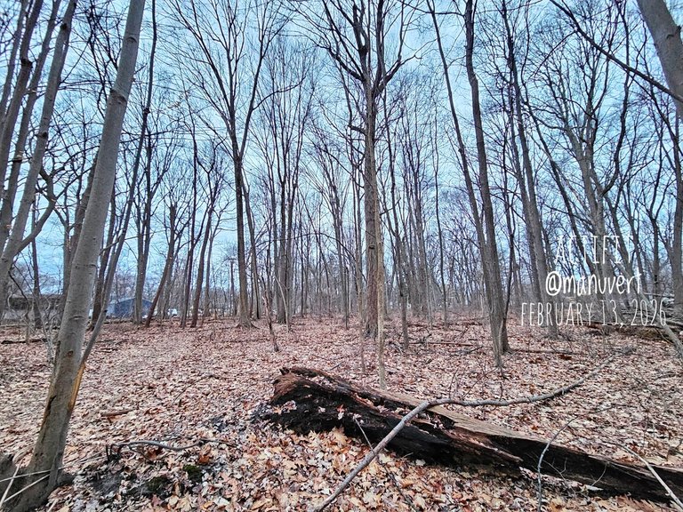 My Actifit Report Card: March 13 2026