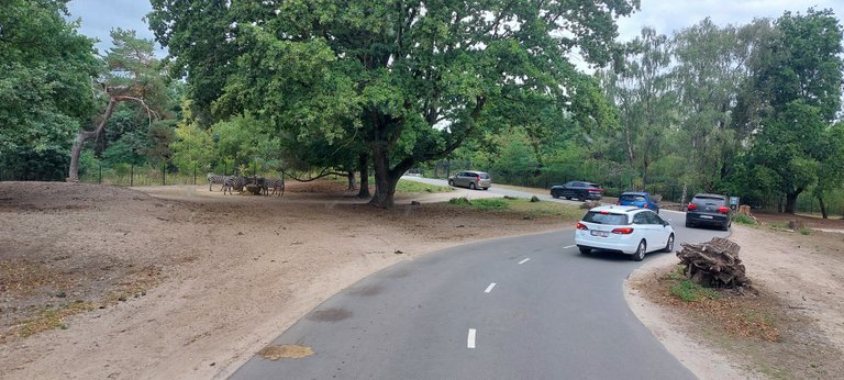 Driving around - My Actifit Report Card: August 22 2025
