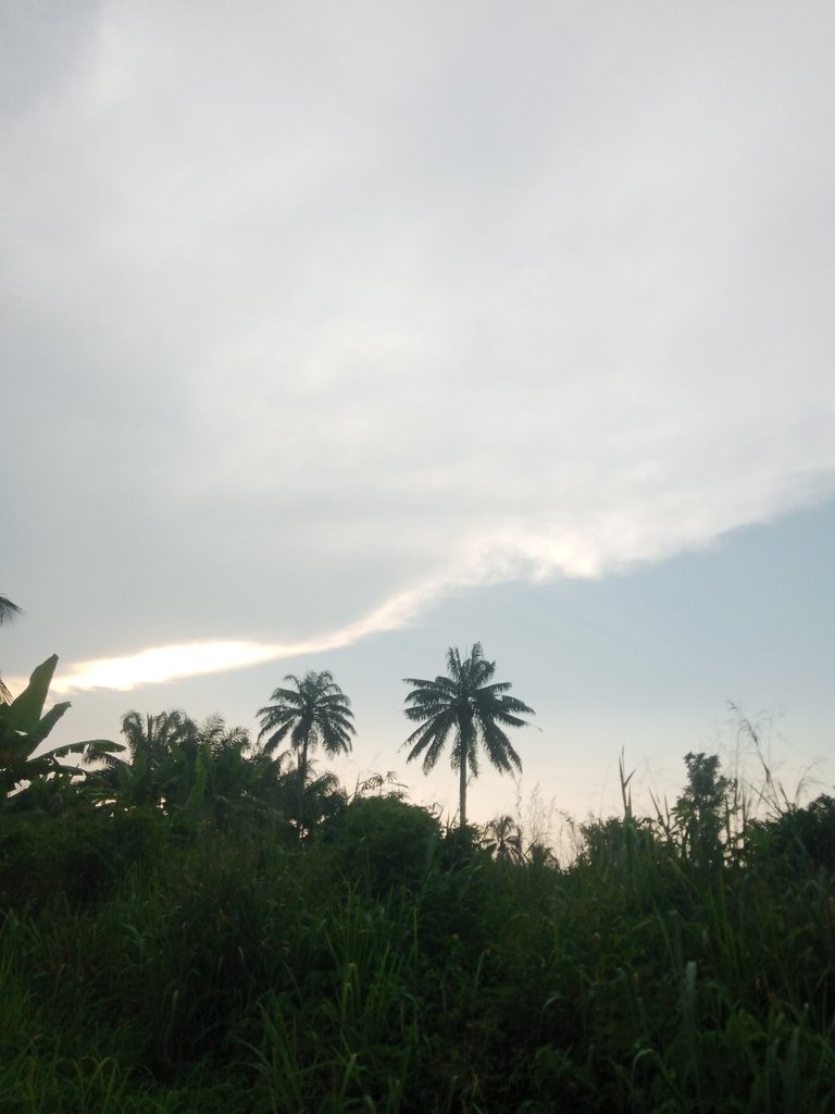 My Actifit Report Card: January 24 2026