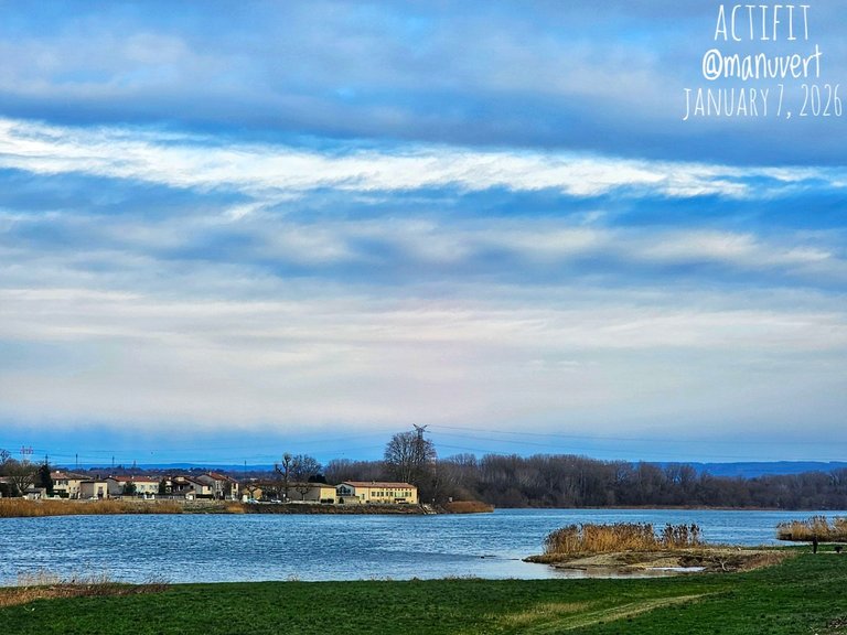 My Actifit Report Card: January 7 2026