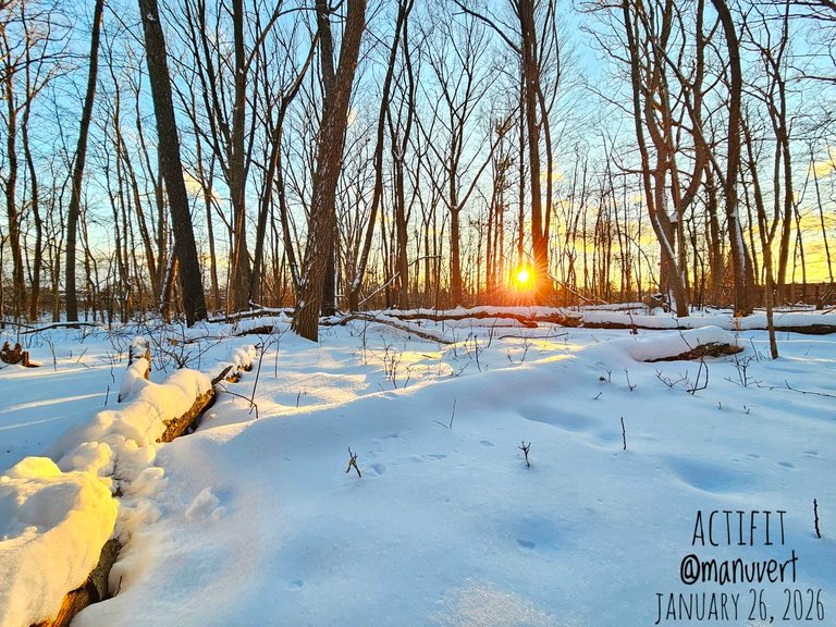 2000!!! - My Actifit Report Card: January 26 2026