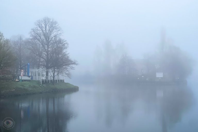 Dense Morning Fog