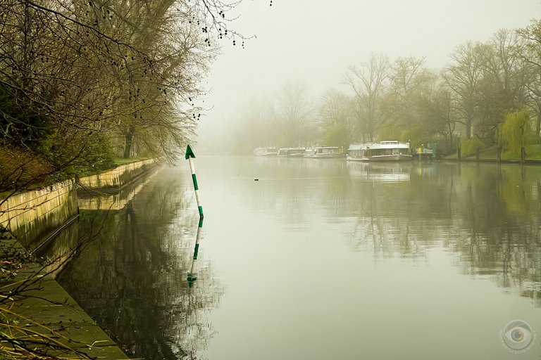 Foggy Spree River