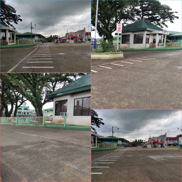 Daily Blog: An Afternoon Walk Before the Storm