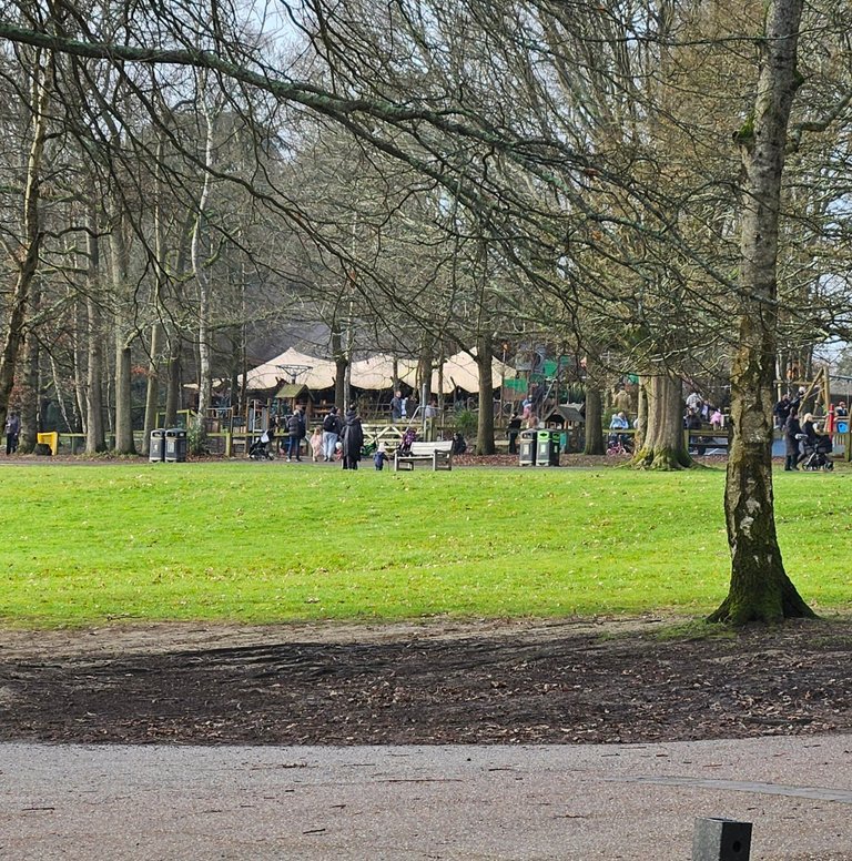 Cold snap ahead!  : My Actifit Report Card: February 25 2026