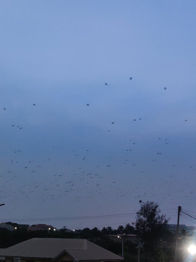 My Actifit Report Card: March 6 2026