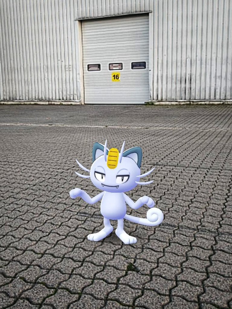 alolan meowth