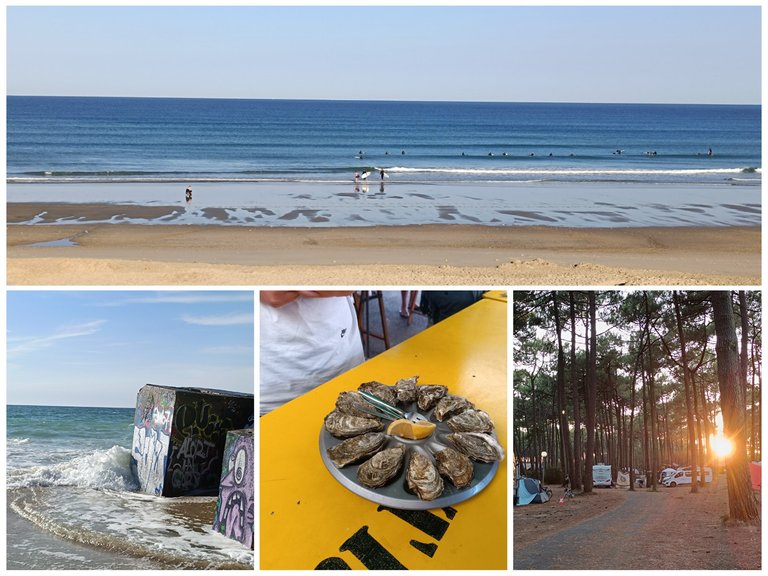 Second day on holidays in France - My Actifit Report Card: August 24 2025