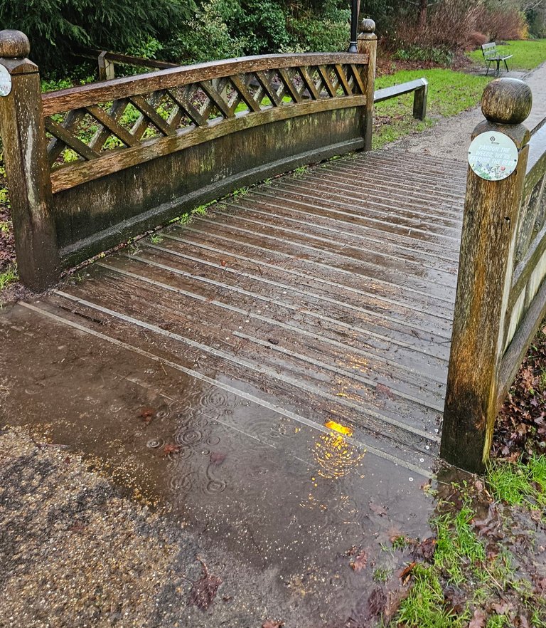 My Actifit Report Card: January 21 2026